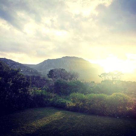 The Crowded House Villa Pringle Bay Eksteriør bilde
