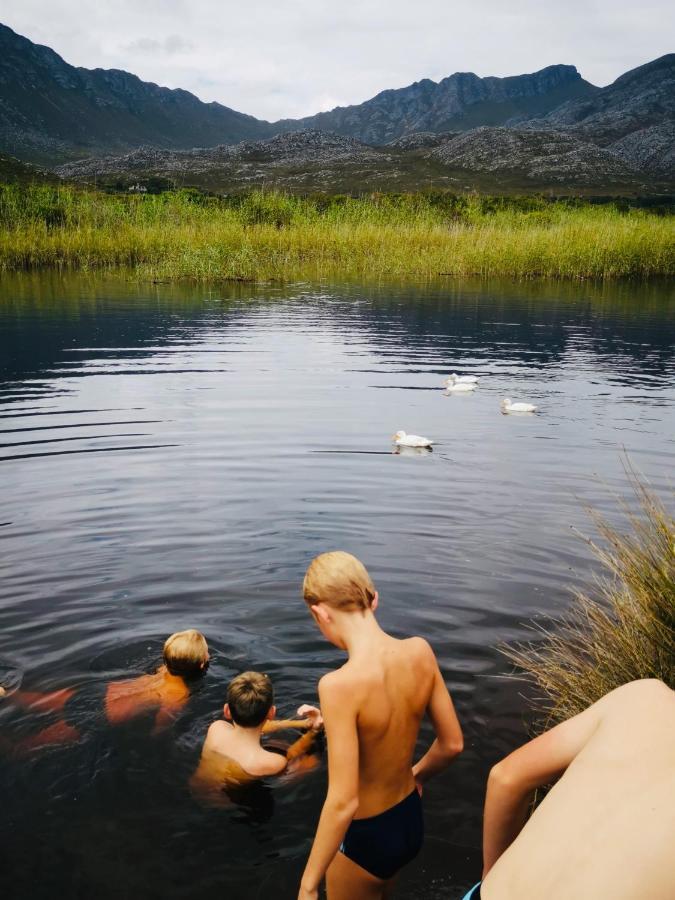 The Crowded House Villa Pringle Bay Eksteriør bilde